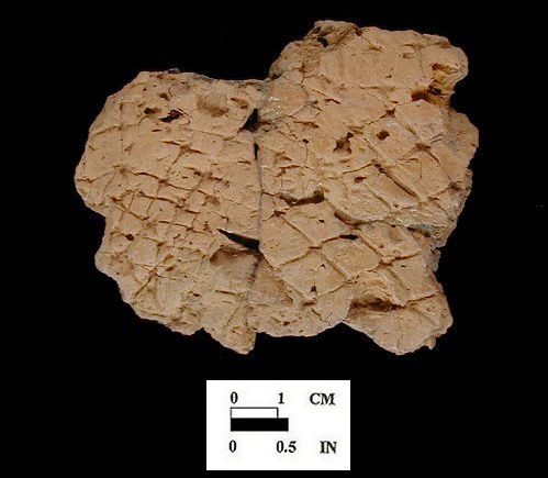 Mockley net-impressed body sherd from Bathhouse, 18AN37/8.